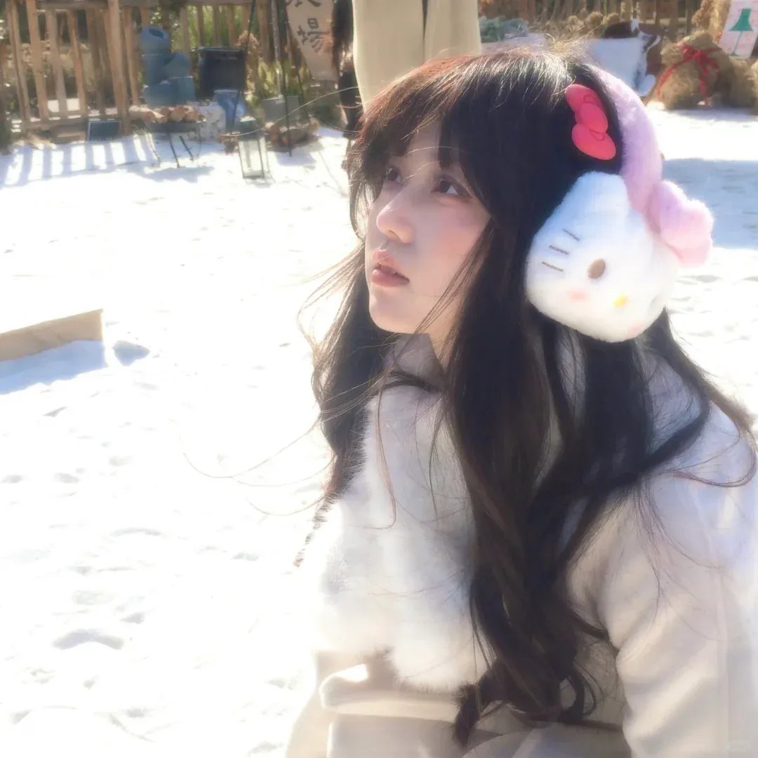 火影忍者疾风传剧场版：火之意志的继承者